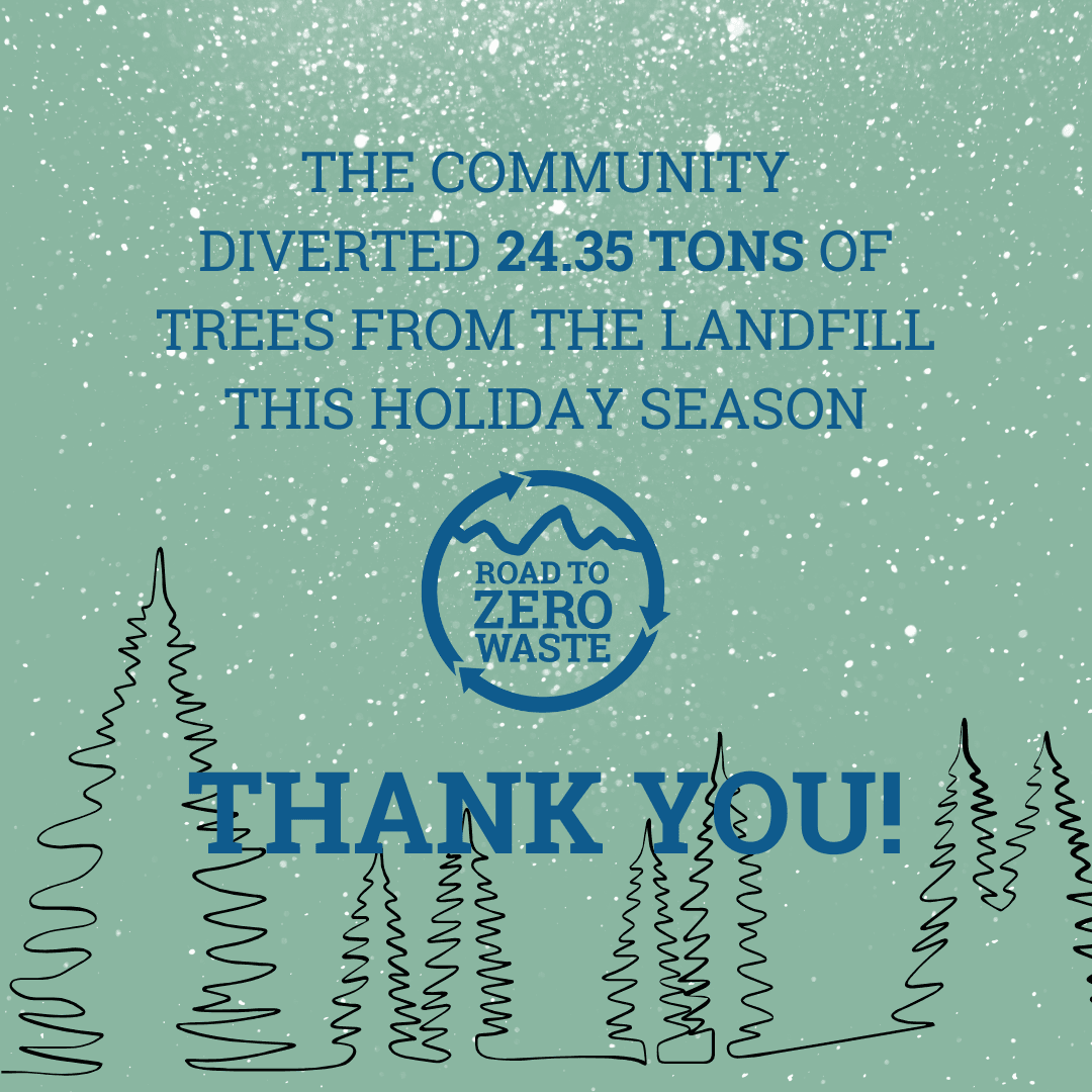 Thank you for composting your Christmas Trees!