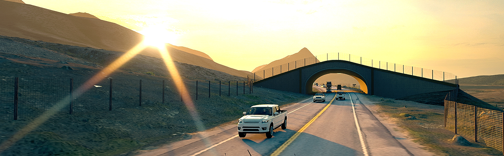 Safe Wildlife Crossings