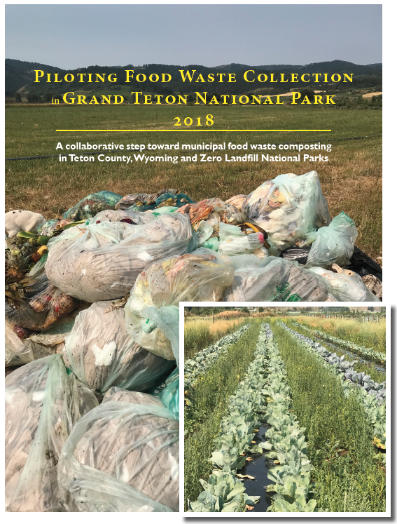 cover of 2018 report