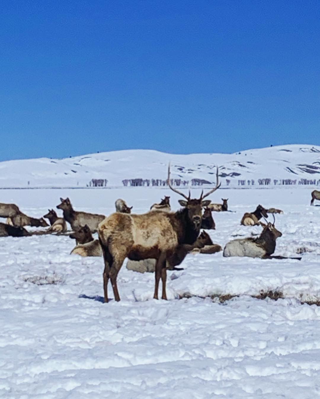 EED63B5A-42BE-4BE5-AB15-F92437F86098